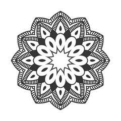 Detailed Petal Floral Ornament Vector Design Illustration Graphic Art