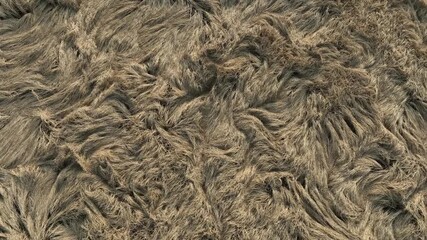 Fallen rice fields, aerial video from a vertical perspective in the North China Plain - Powered by Adobe