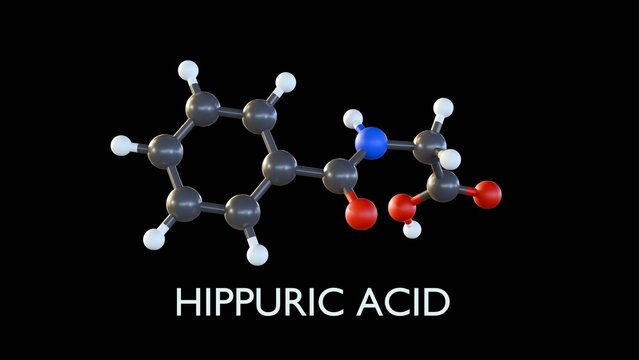 A 3D rendering of Hippuric Acid's molecular structure. This metabolite is formed in the liver by conjugating benzoic acid and glycine, and is found in urine.