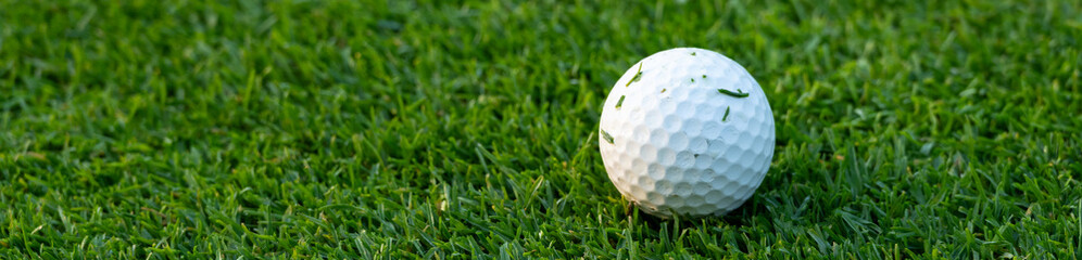 Closeup of white golf ball on short green grass of golf course fairway freshly mowed, bits of cut grass on ball
