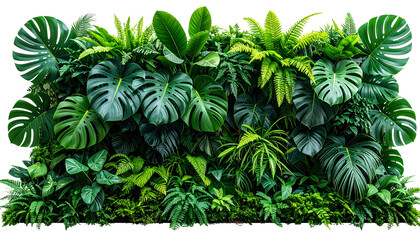 A dense wall of various vibrant green tropical plants and foliage
