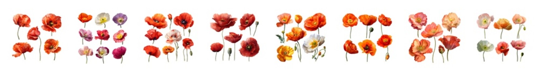 Obraz premium A vibrant collection of fresh berries and fruits arranged in artistic clusters.