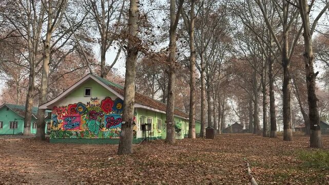 Autumn in Kashmir with vibrant red Chinar leaves and chinar big trees across Naseem Bagh in Hazratbal Dargah showcasing the beauty of Srinagar destination in Jammu and Kashmir. Clip 128