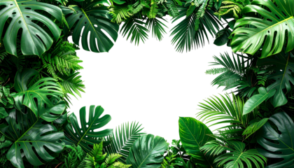 A dense frame of lush tropical leaves surrounds a black void, vibrant green hues dominate