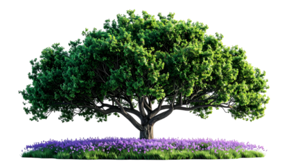 Lush tree with vibrant green canopy, sturdy trunk, set on bed of purple flowers, black background