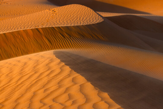 View of rolling dunes, bathed in the warm glow of the setting sun, cast long shadows across the textured sand, Rub' al-Khali, United Arab Emirates.