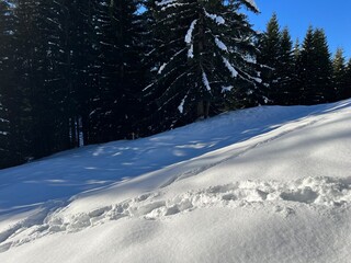 Obraz premium Wonderful winter hiking trails and traces in the fresh alpine snow cover of the Swiss Alps and over the village of St. Antönien - Canton of Grisons, Switzerland (Kanton Graubünden, Schweiz)