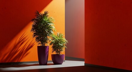 Indoor plants casting artistic shadows in colorful room environment