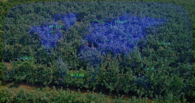 Initial blue patch appearing over orchard while scanning arc sweeping values and mapping canopy