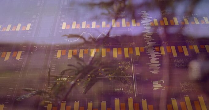Shrub branch anchoring frame while HUD overlay appearing, bars rising and sliding to show metrics