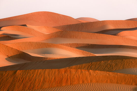 View of golden dunes stretching into the horizon, rippled patterns etched by the wind under a soft sky, in Bateen Liwa, Abu Dhabi, United Arab Emirates.