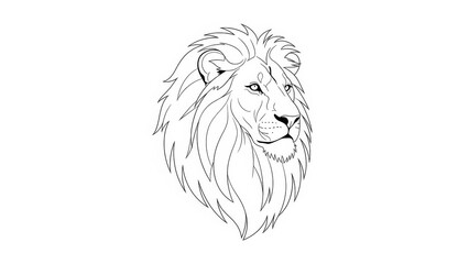 Lion head outline illustration majestic animal in minimalist style isolated vector drawing for logo design