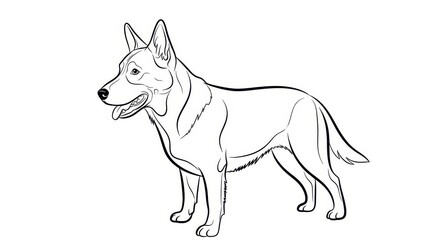 Standing Australian Cattle Dog line art vector illustration of a herding dog breed isolated on white background