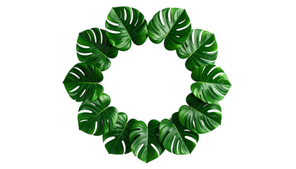 Lush green tropical monstera leaves arranged in a circular wreath against a stark black backdrop