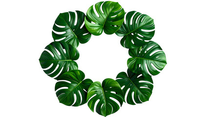 Circular arrangement of lush, tropical green leaves on a black background, forming a ring