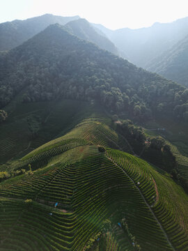 Aerial view of tiered verdant hillsides contrasting with the rugged, forested mountains under a soft, hazy sky, Hangzhou, Zhejiang, China.