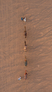 Aerial view of a camel train caravan trekking across the vast, arid desert landscape under the blazing sun, Shahdad, Kerman Province, Iran.