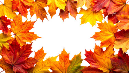 Colorful autumn leaves forming a border around a black, central void