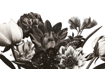 Naklejka premium PNG Monochrome floral elegance desktop wallpaper.