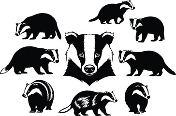 Black and white badger illustrations set featuring walking, standing, and portrait designs, wildlife animal silhouettes for nature art, logos, and graphic decoration
