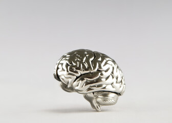 Miniature model of Human Brain made out of metal