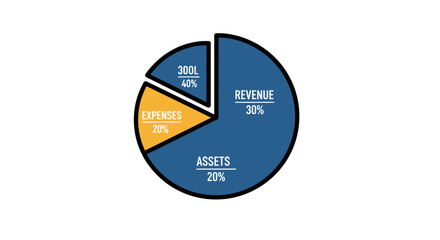 Pie chart illustrating the breakdown of financial components including revenue, assets, and expenses.