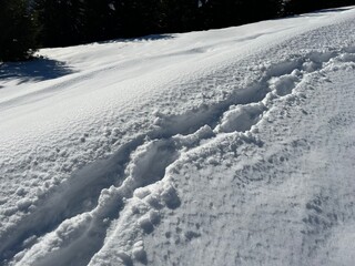 Wonderful winter hiking trails and traces in the fresh alpine snow cover of the Swiss Alps and over the village of St. Ant&ouml;nien - Canton of Grisons, Switzerland (Kanton Graub&uuml;nden, Schweiz)