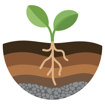 Soil layers diagram land section geology infographic isolated vector illustration on white background