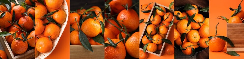 Collage with fresh tangerines, banner design. Citrus fruit