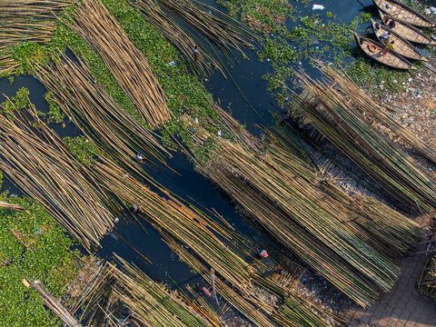 Dhaka, Bangladesh - 24 November 2025: Aerial view of floating bamboo market, where bundled bamboo stalks create linear patterns against the dark water and green vegetation.