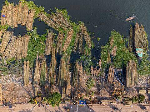 Dhaka, Bangladesh - 24 November 2025: Aerial view of bamboo stalks casting long shadows on the riverbank, vibrant green aquatic plants contrasting with the earthy tones of the bamboo..