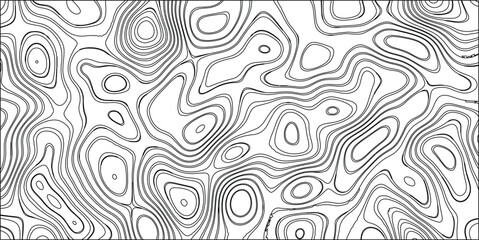 Black and White Topographic Contour Map Pattern with Organic Wavy Lines and Irregular Shapes Representing Terrain or Abstract Art