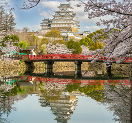 Naklejka premium Himeji Castle, Japan, framed by cherry blossoms and reflected in a moat with a red bridge in the foreground.