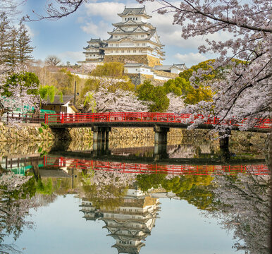 Himeji Castle, Japan, framed by cherry blossoms and reflected in a moat with a red bridge in the foreground.