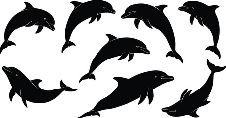 Black dolphin silhouettes vector illustration collection, set of various jumping and swimming marine animal shapes, friendly ocean creature icons, editable isolated mammals on white background.