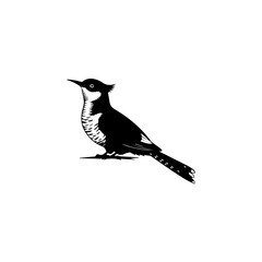 Elegant monochrome illustration of a crested bird in profile, showcasing its unique silhouette