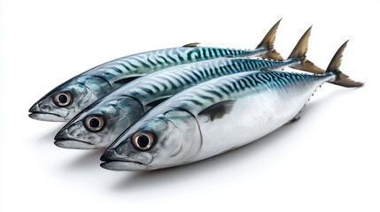 Obraz premium A lifelike mackerel depicted against a clean white background, showcasing vivid blue-green stripes, a sleek silver body, and a large eye. Ideal for seafood, marine life, and nutrition themed projects.