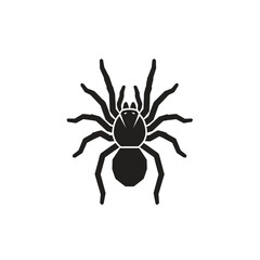 Obraz premium Silhouette of a Spider with Eight Legs and Two Body Sections.