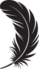 Obraz premium Elegant black feather vector illustration avian plumage graphic element isolated
