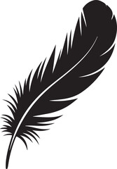 Obraz premium Elegant black feather vector illustration avian plumage graphic element isolated