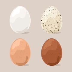 Eggs png stickers, food illustration on transparent background