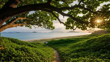 palm trees on the beach
