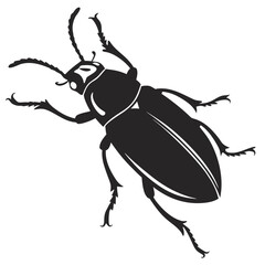 A detailed black silhouette of a beetle with intricate legs and antennae is depicted against a clean white background showcasing its detailed form
