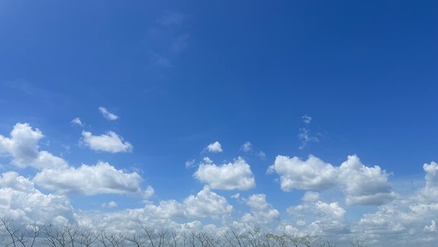 Vibrant Blue Sky Background with Extensive Copy Space and Fluffy Cumulus Clouds