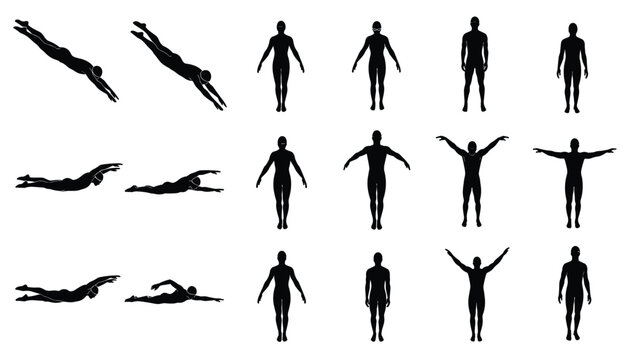 Swimming and Standing Posture Vector Silhouettes for Motion Study and Fitness Design