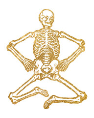 Gold skeleton png sticker, Halloween aesthetic illustration, transparent background