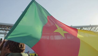 Cameroon pride swells as vibrant flag waves, a symbol of unity and hope for a brighter future, evoking patriotism and national celebration