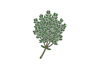 Naklejka premium Fresh Green Sprig Botanical Herb Drawing