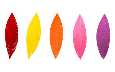 Fototapeta premium Leaves sticker paper craft png set