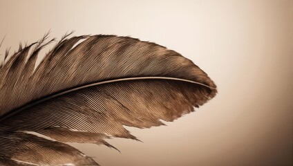 Close-up of a brown feather against a warm, gradient background, showcasing detail